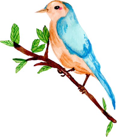 Watercolor blue bird